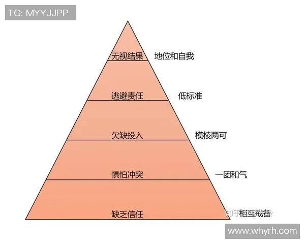 深圳排球队团队协作的创新变革与热议探讨
